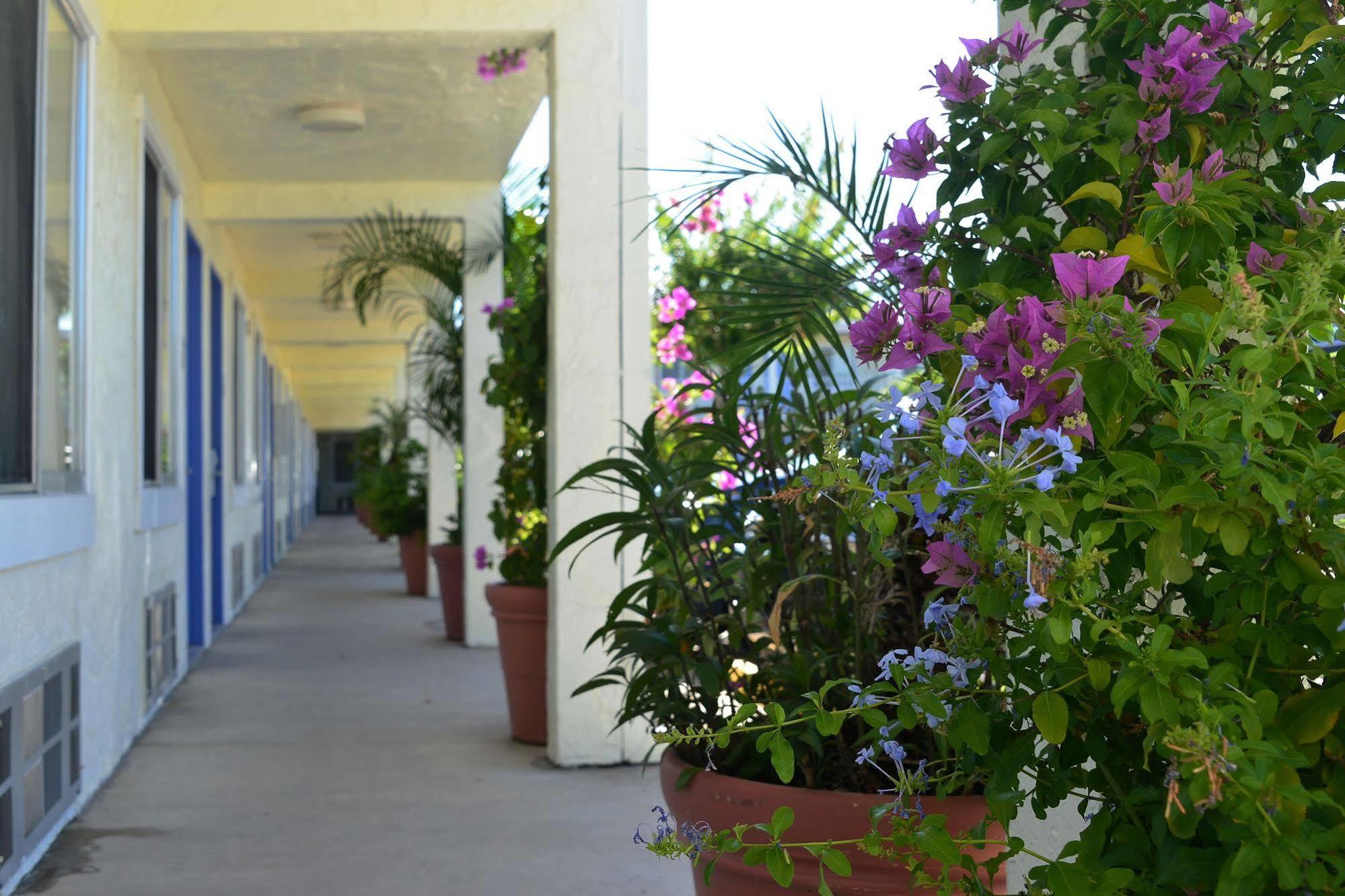 Americas Best Value Inn Bradenton-Sarasota Eksteriør billede